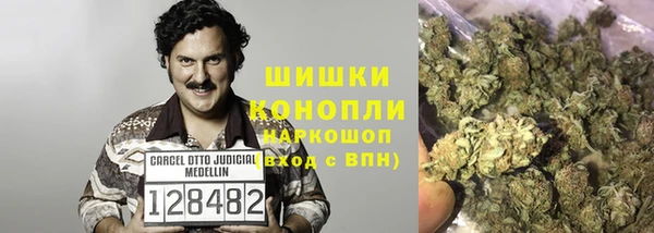 тгк Аркадак