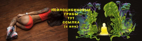 PSILOCYBIN Армянск