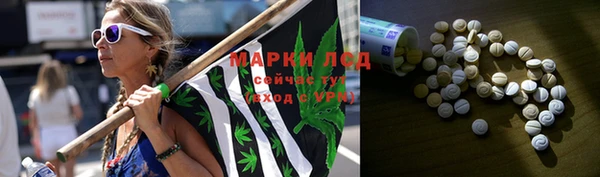mdpv Арсеньев