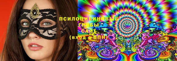 тгк Аркадак
