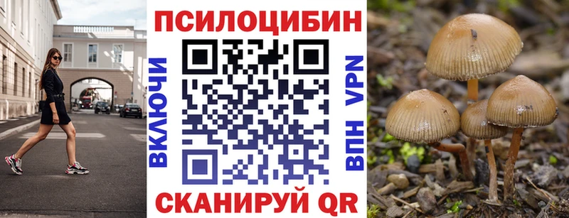 Псилоцибиновые грибы мицелий Гурьевск